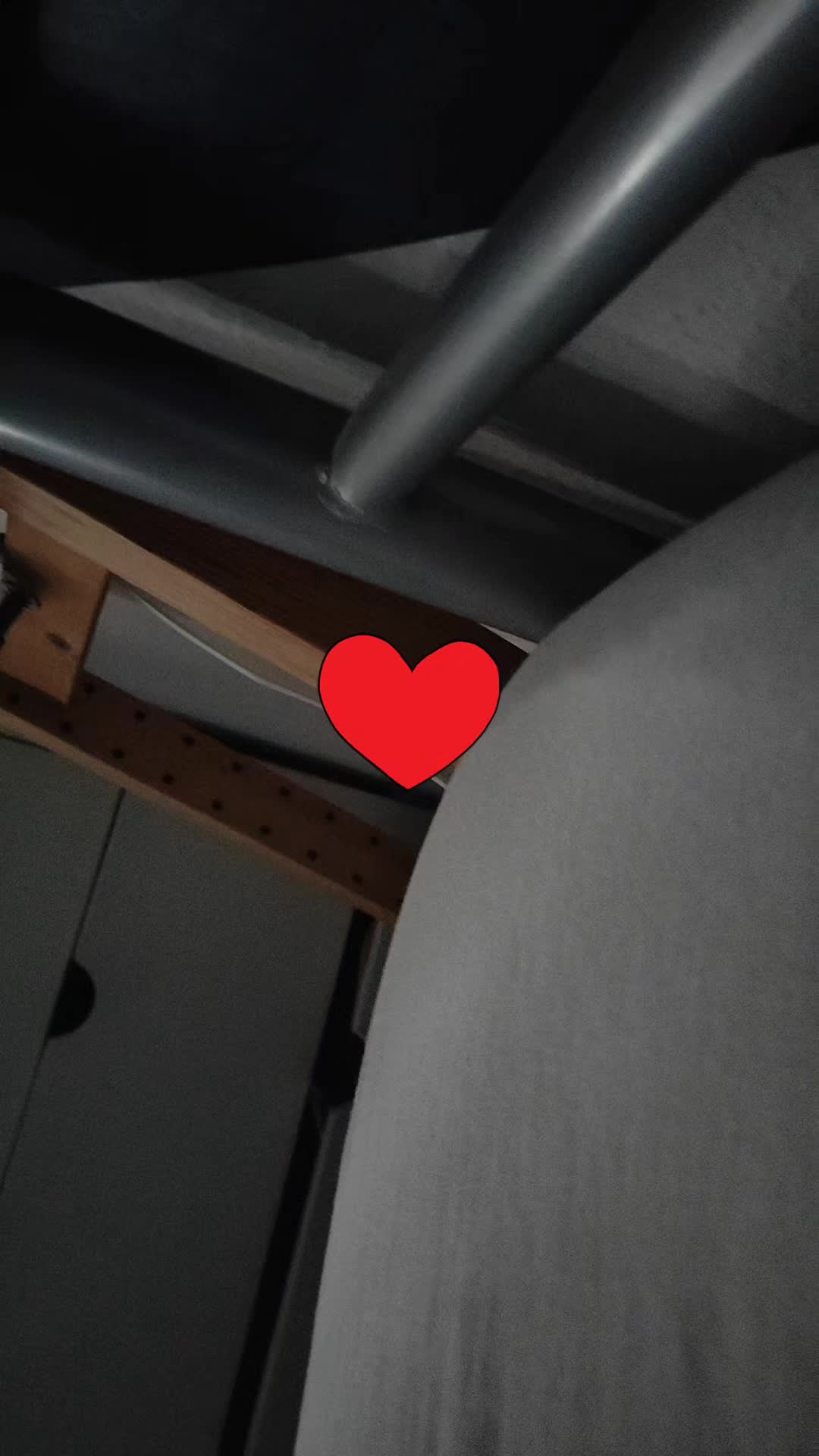 @svenjasauer1