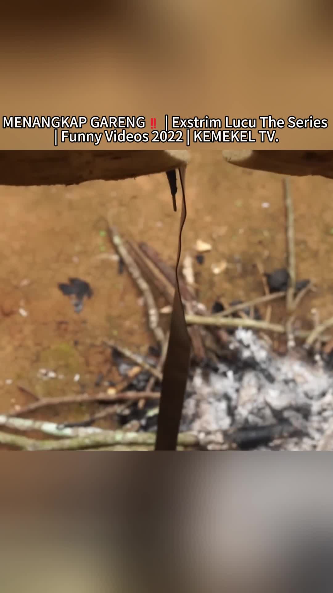 @user37703377025713