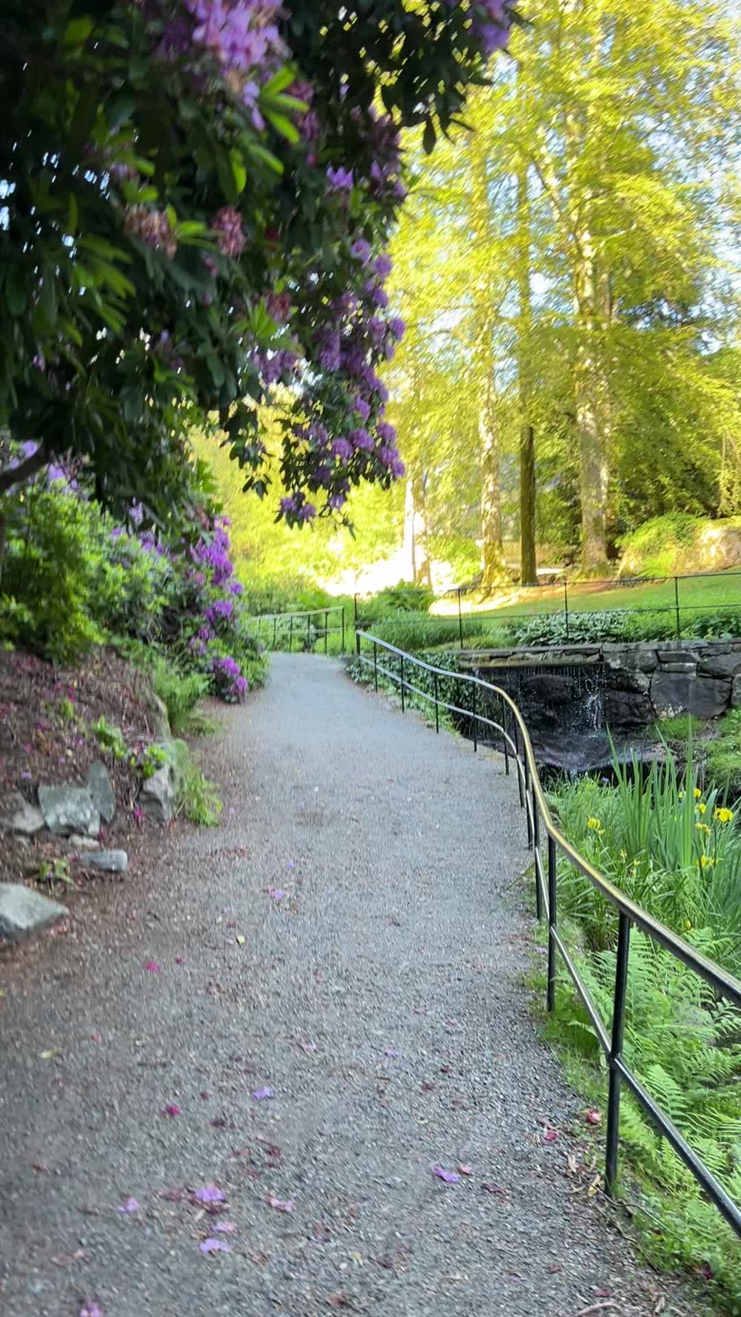 @Nature in Norway