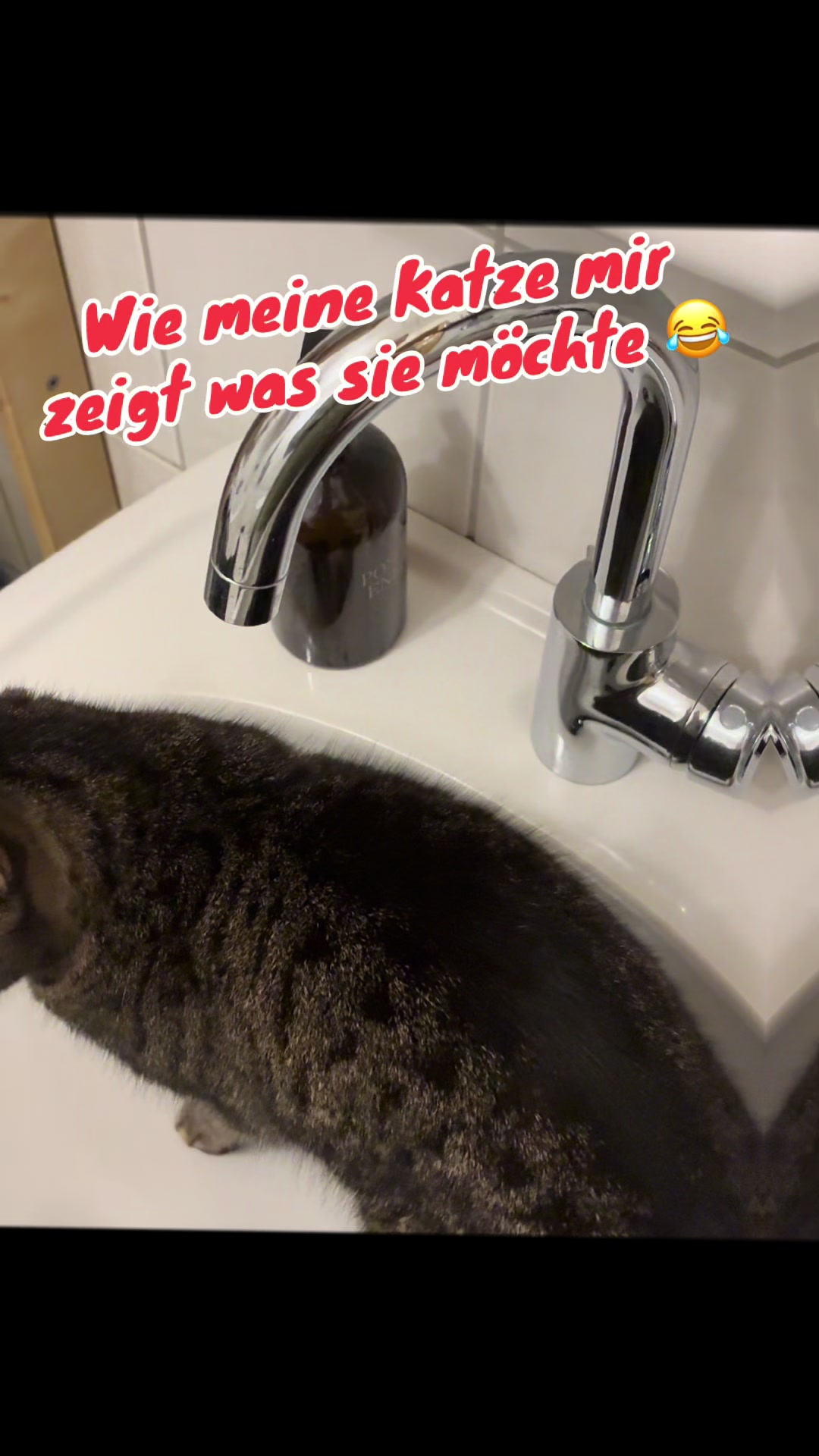 @Inga Kosthöfer