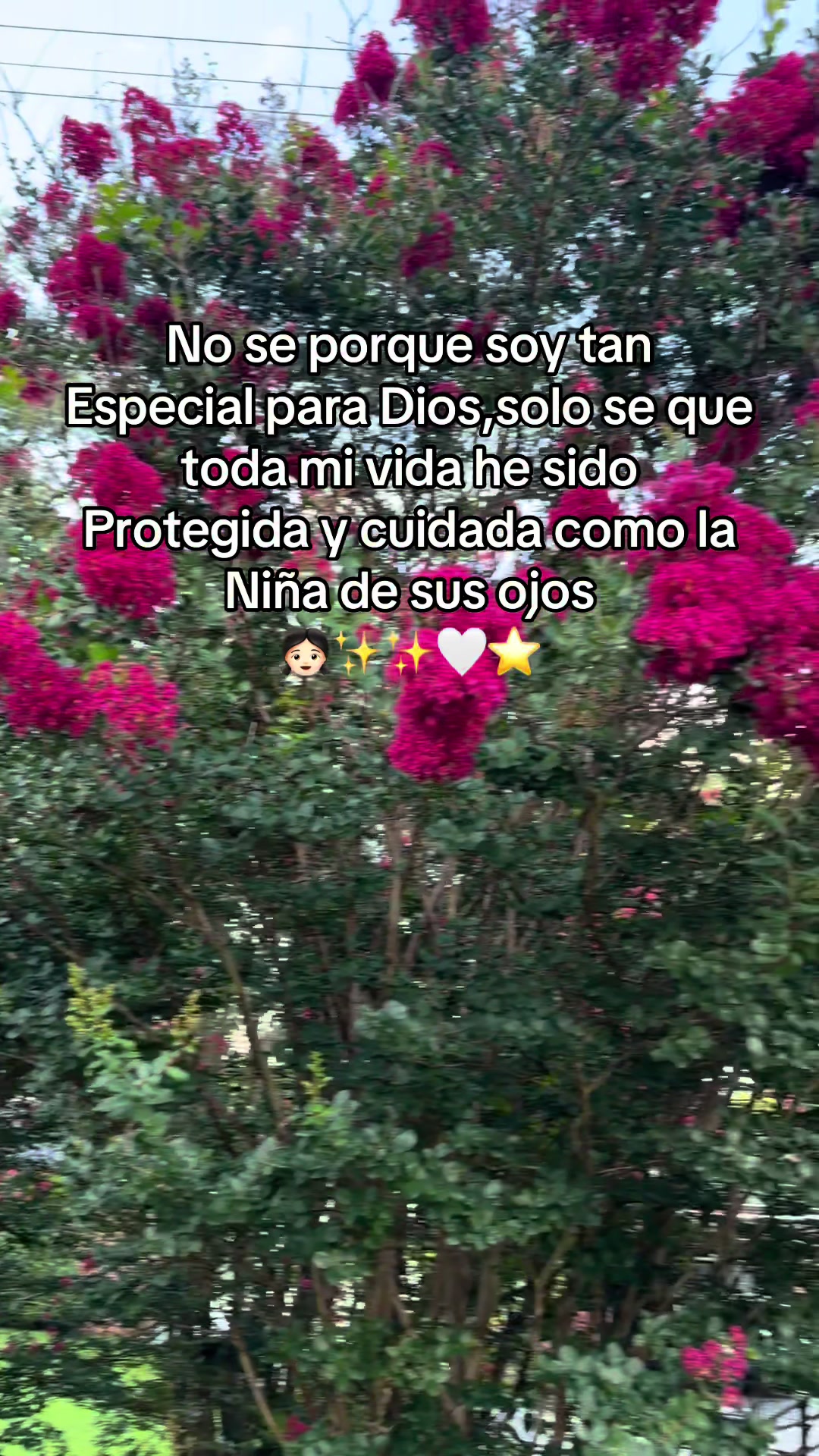 @🌺juanys🌺🍁
