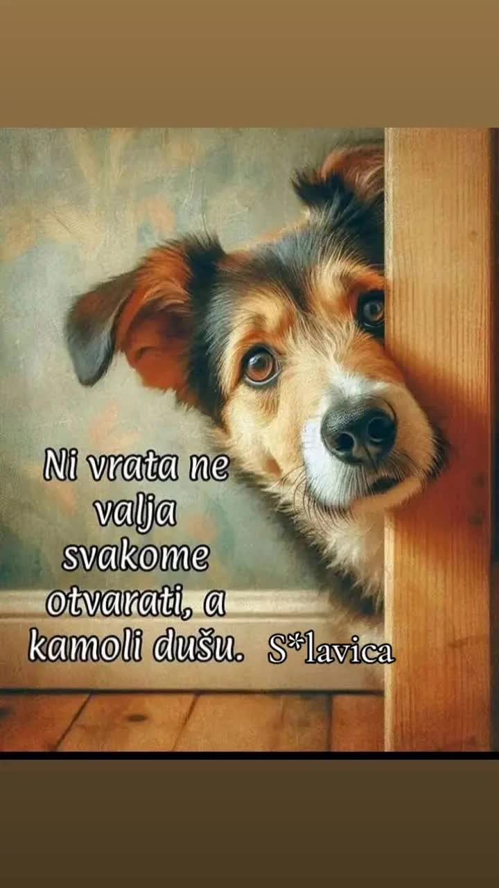 @slavicabugariboi