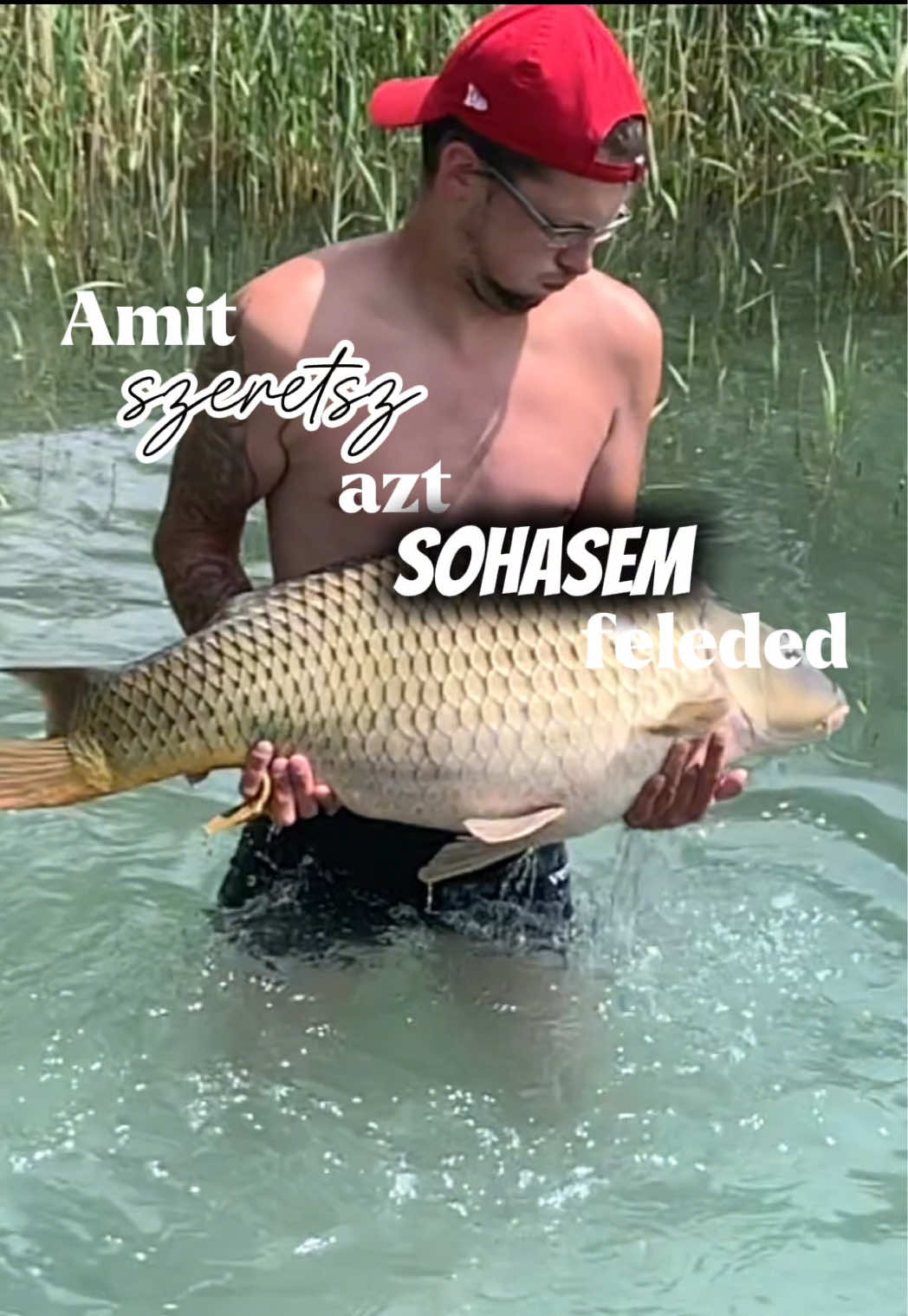 @Valter🐟