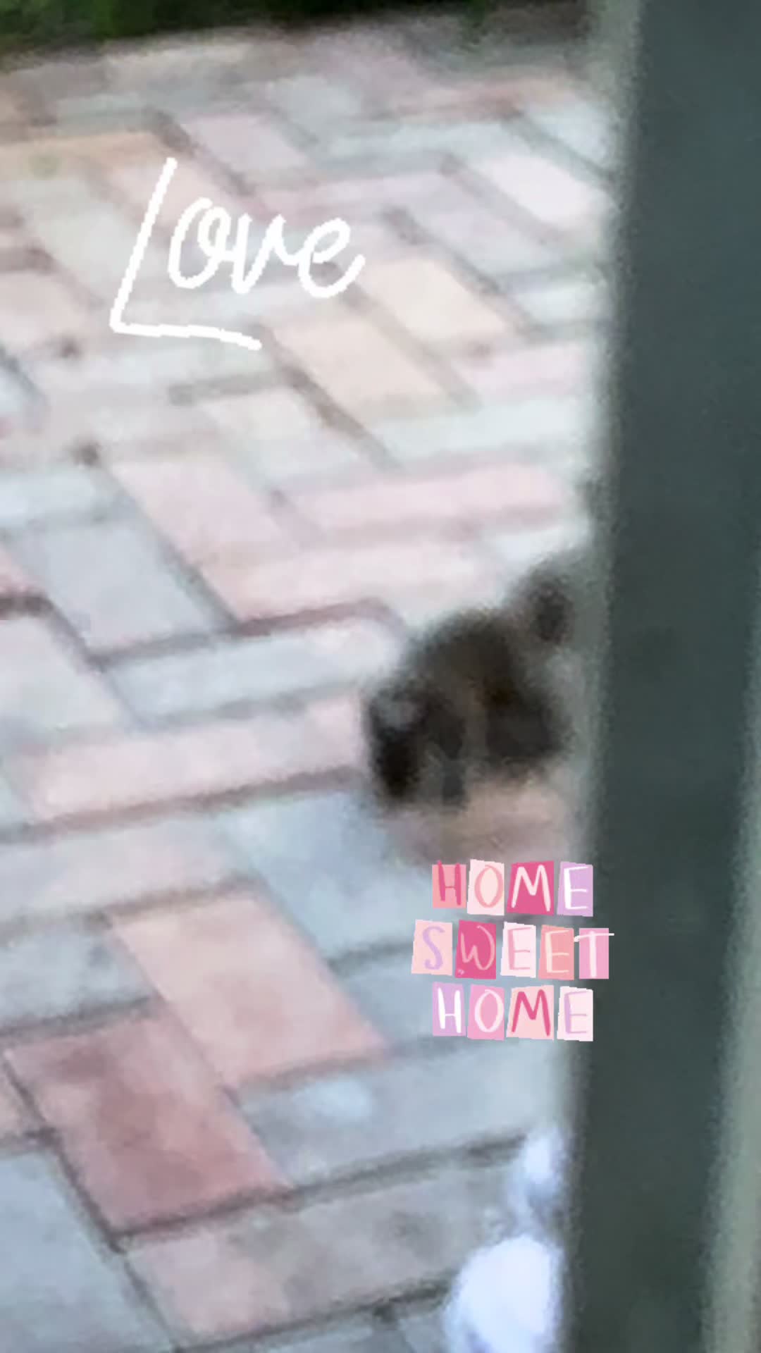 @ginaarellano2