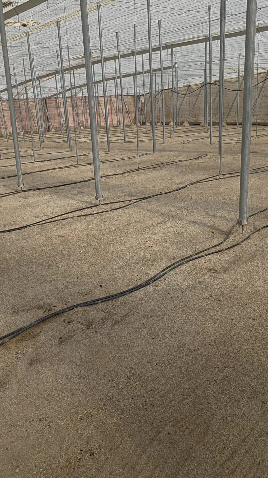 @El Extensionista del Agro