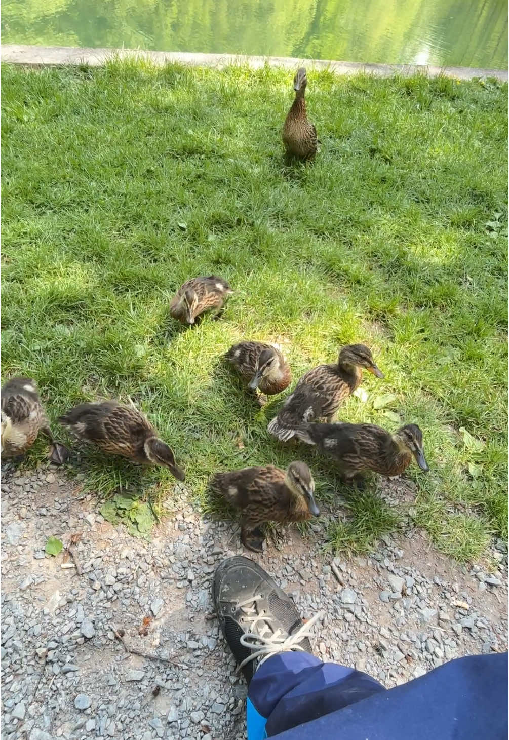 @ð¯ðð ððððð ðžððð ð