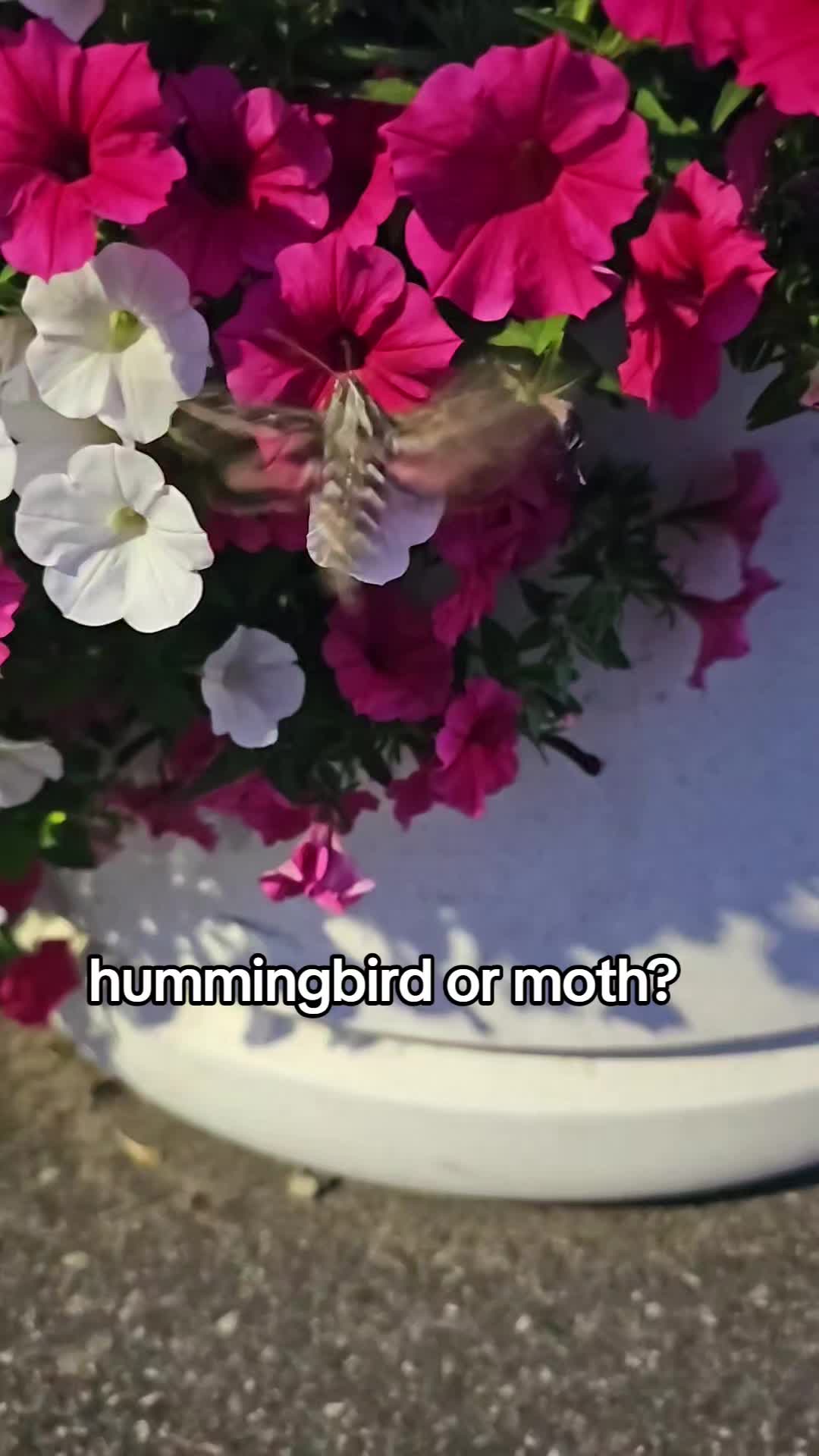 @Erin Bauer