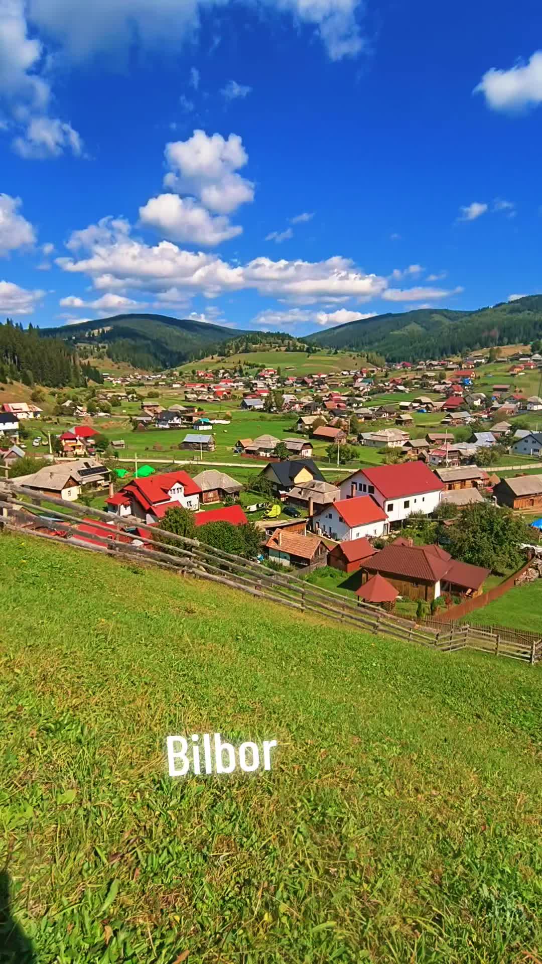 @🇷🇴✴️Floryn Vîlcan❤️🩵🇹🇩