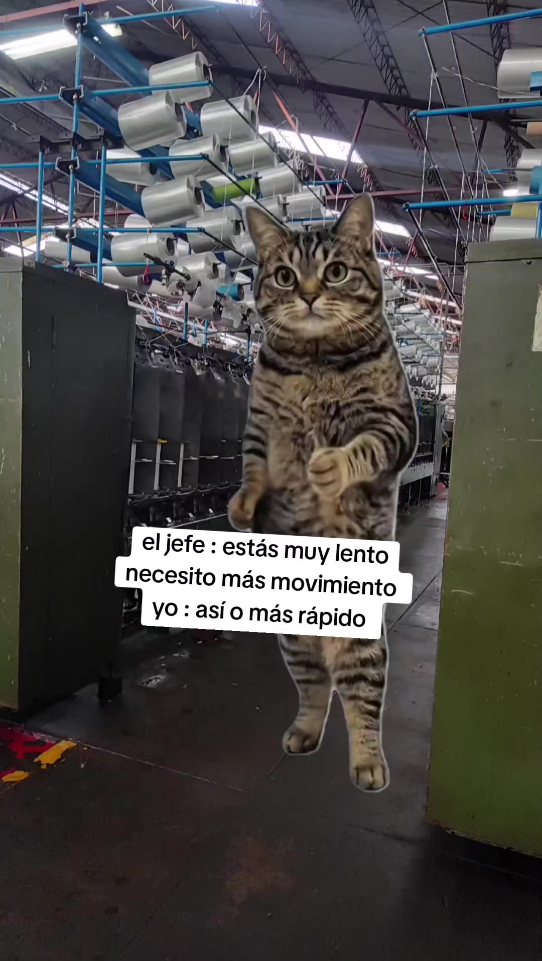@cara de sueño