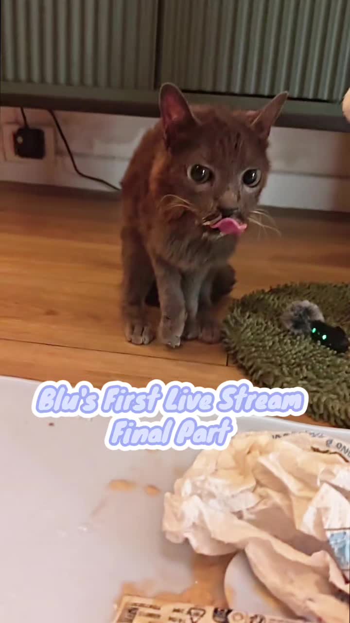 @blu_the_blep