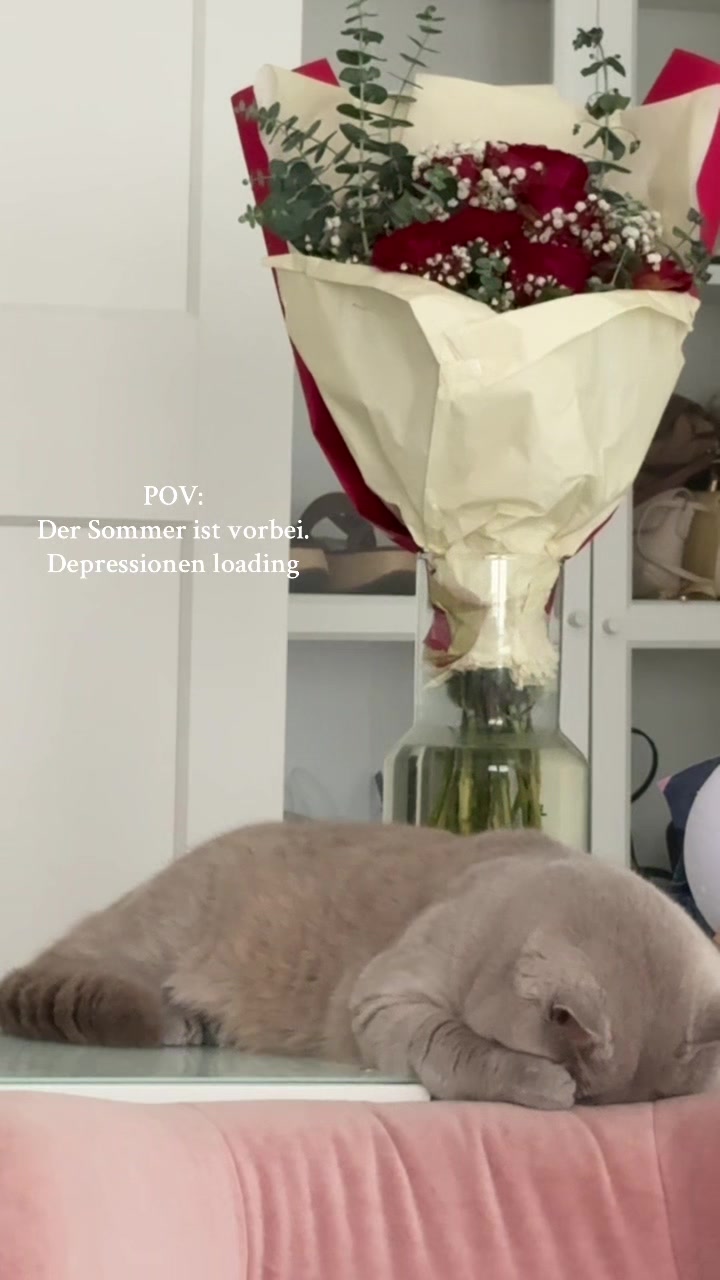@Seren Güven