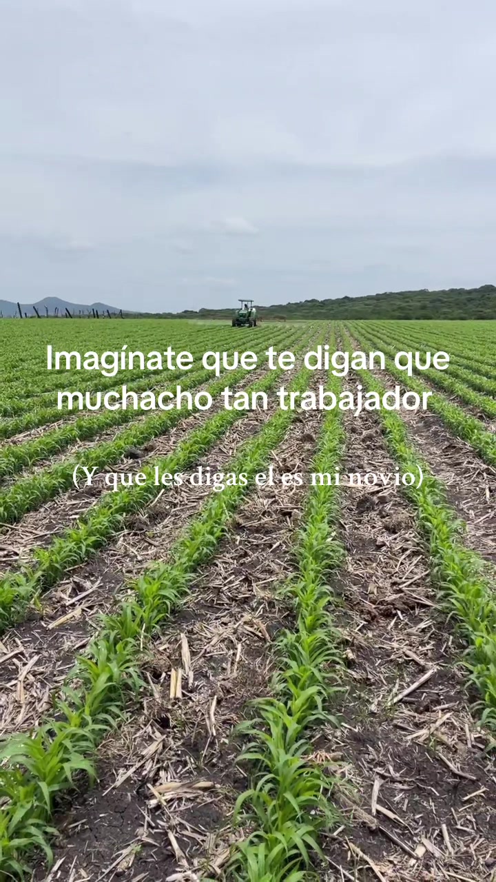 @Pablo Do&ntilde;ate 🤠