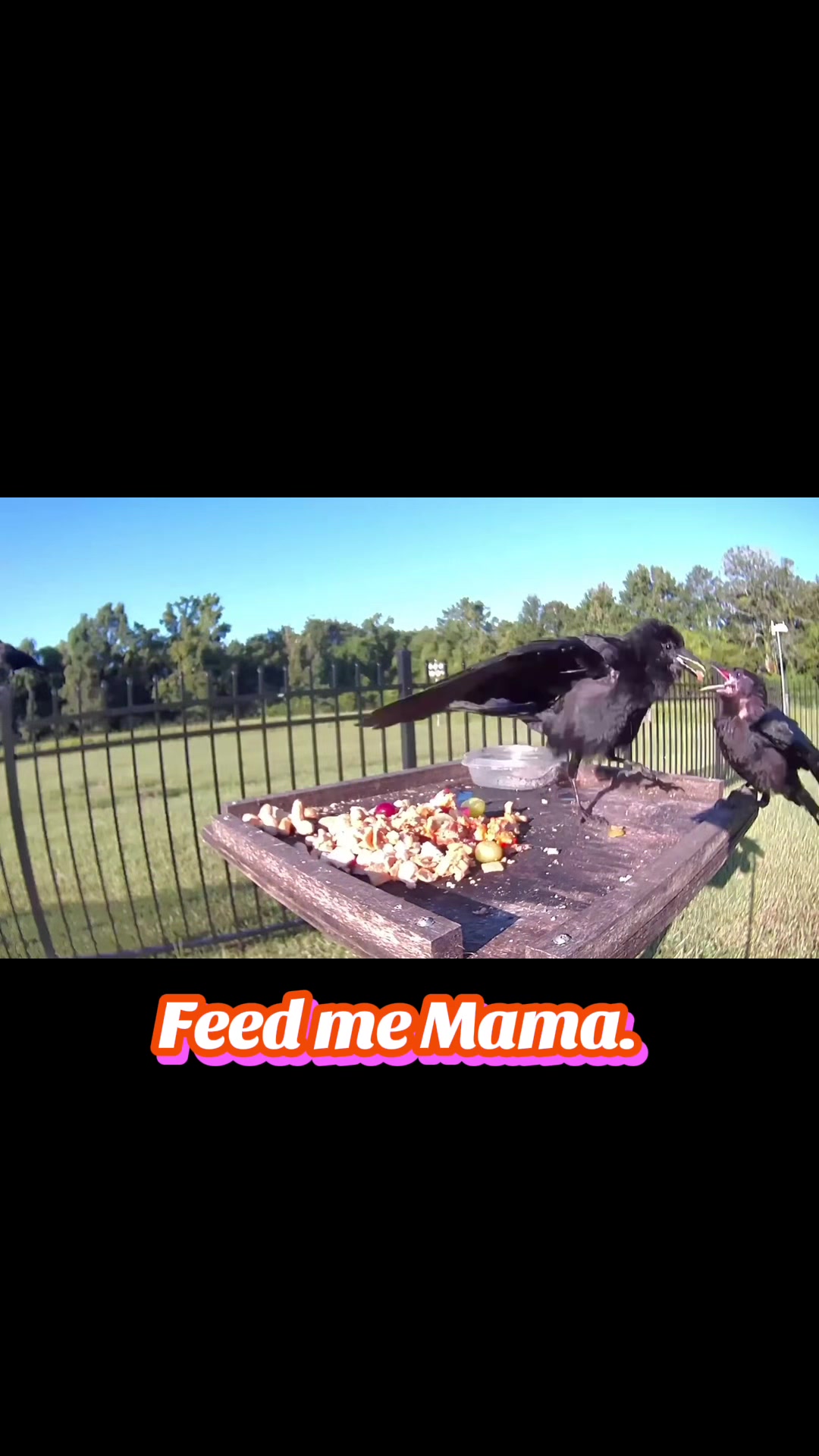 @Buffy_In_Louisiana