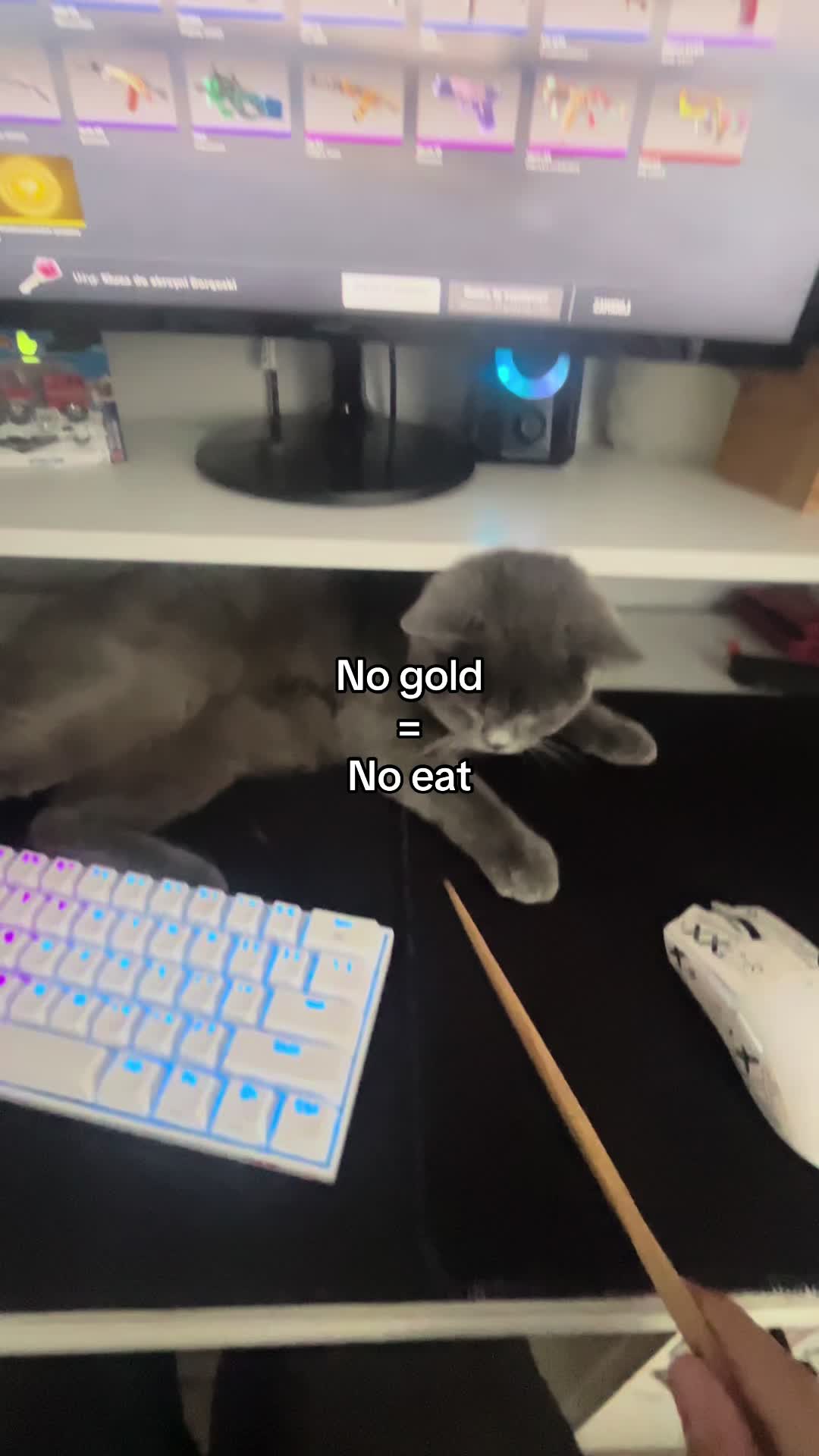 @Grafi🐱