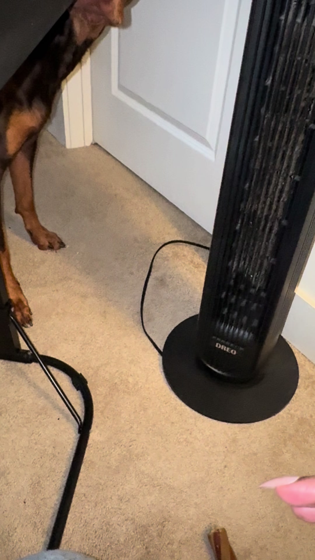 @ShantitheDobie
