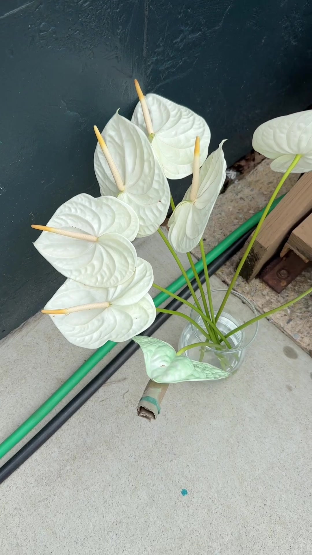 @Flower Moxie DIY Flowers