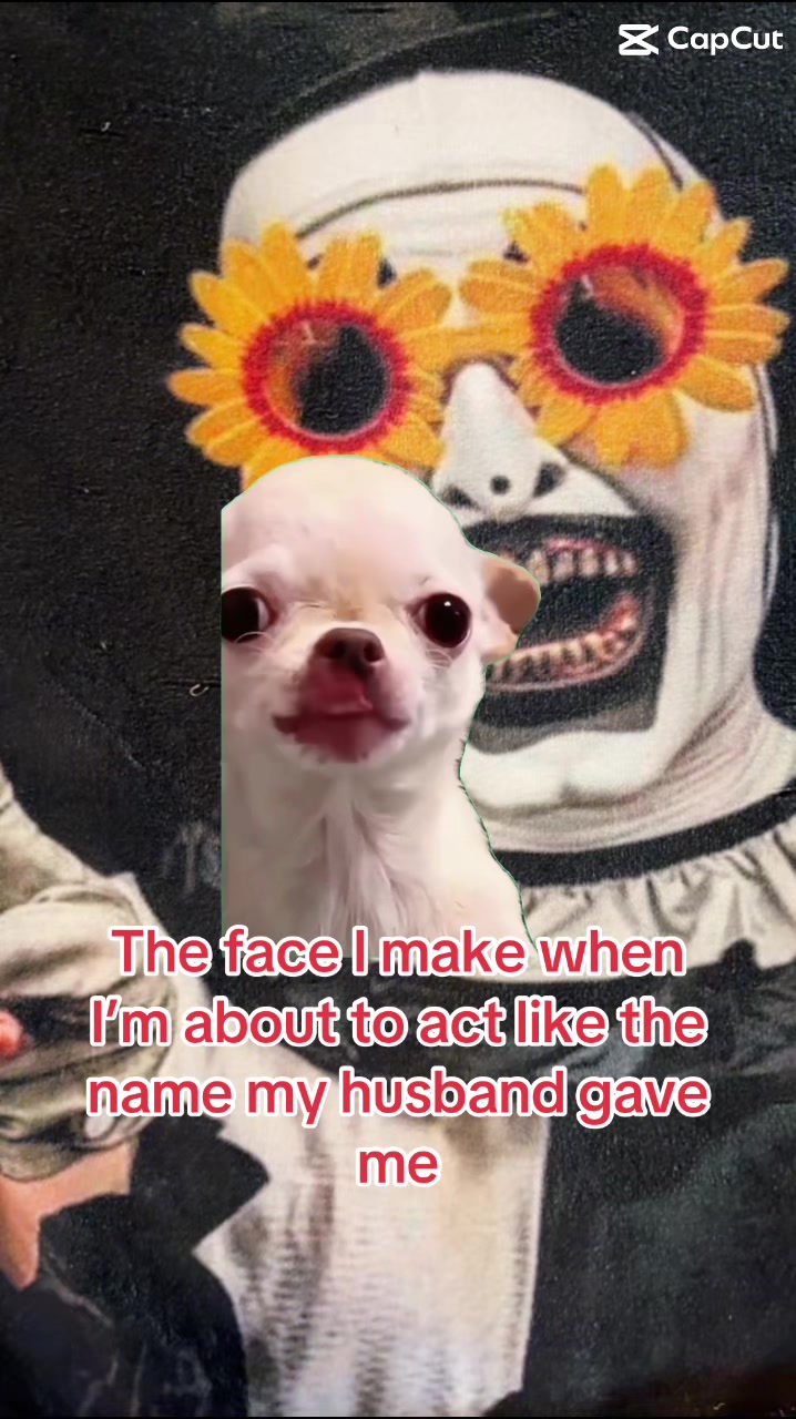 @casey_bunny