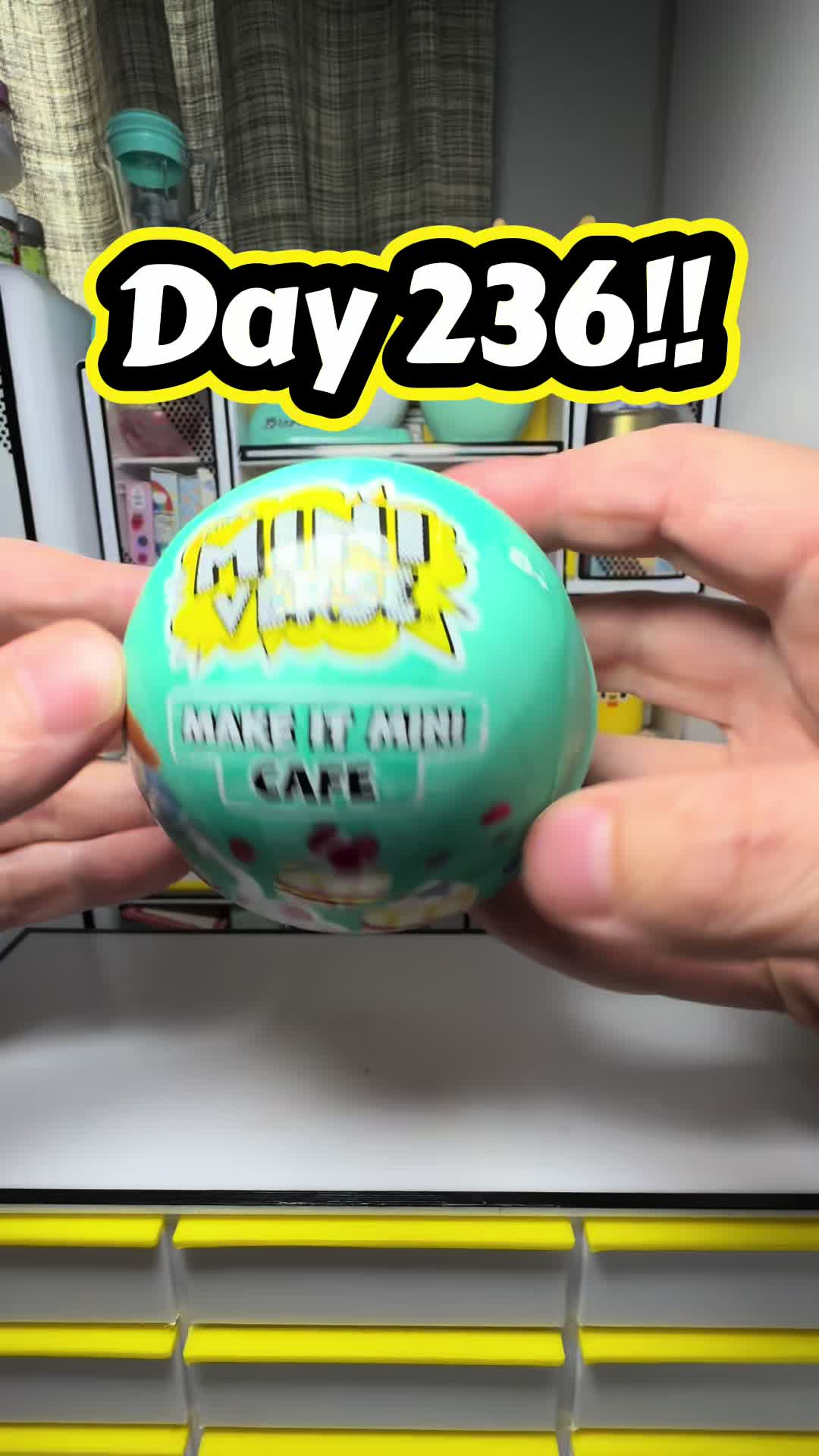 @joeysminiverse