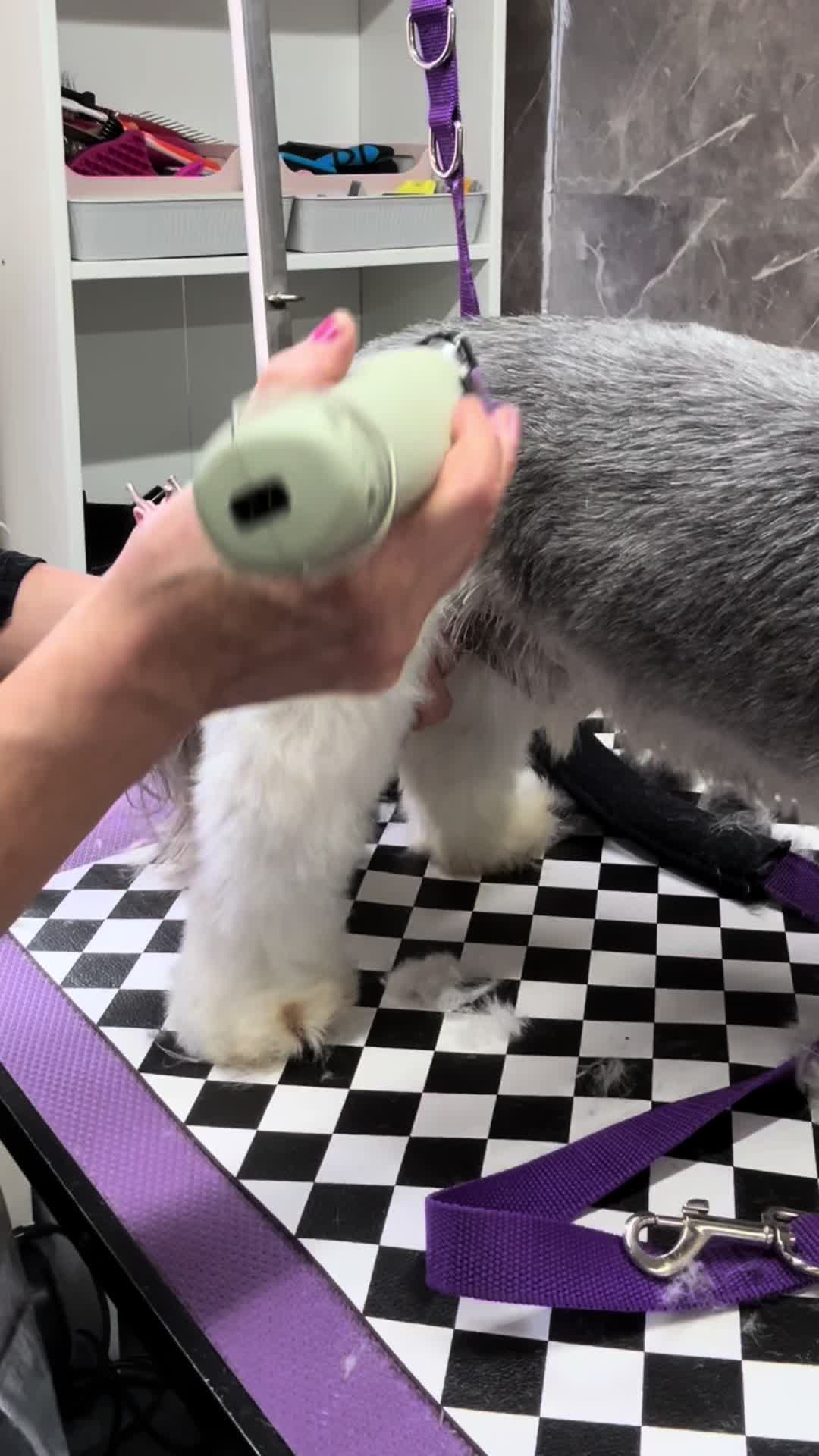 @Poochiepoosdoggrooming