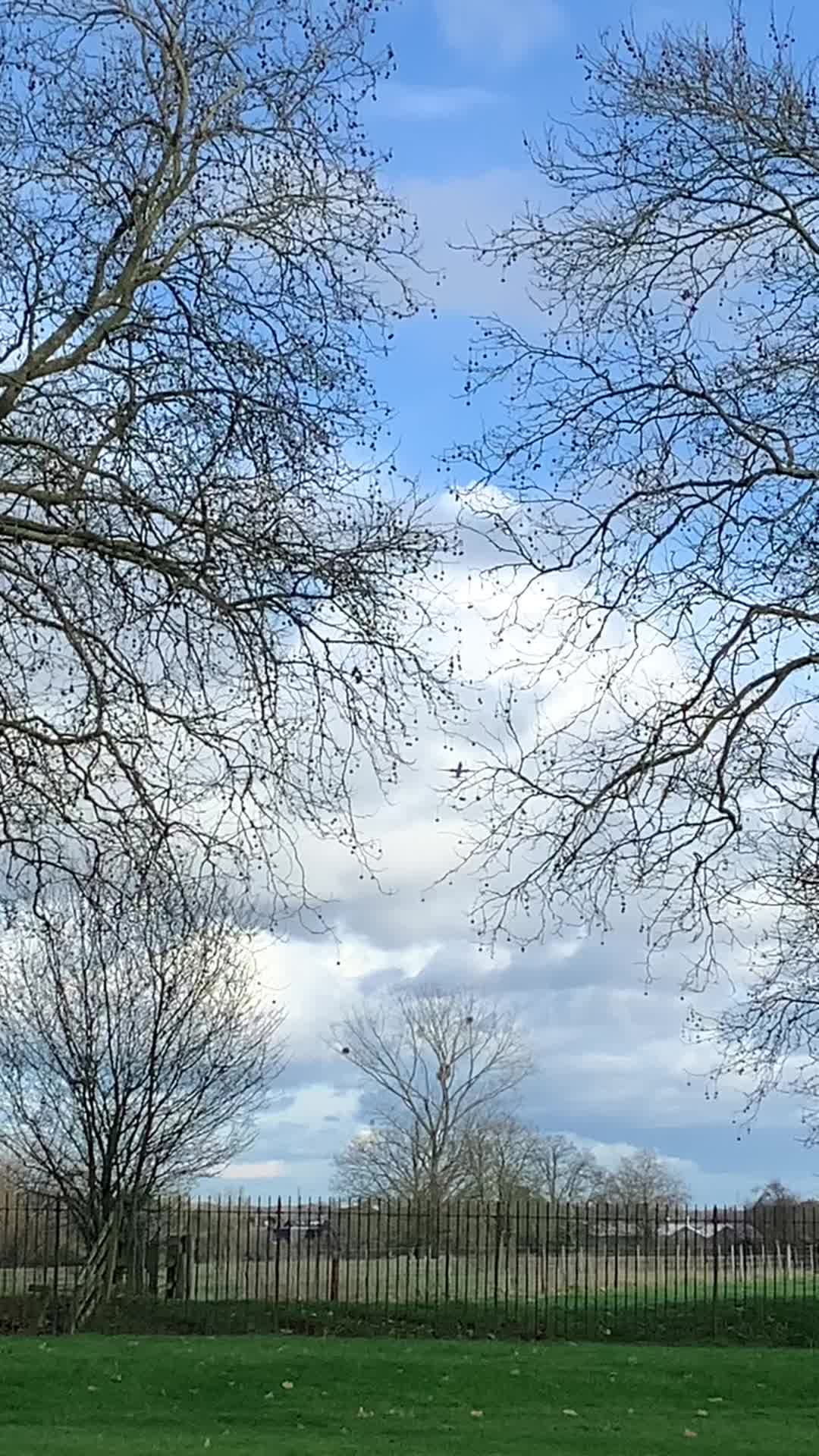 @raf_aj179