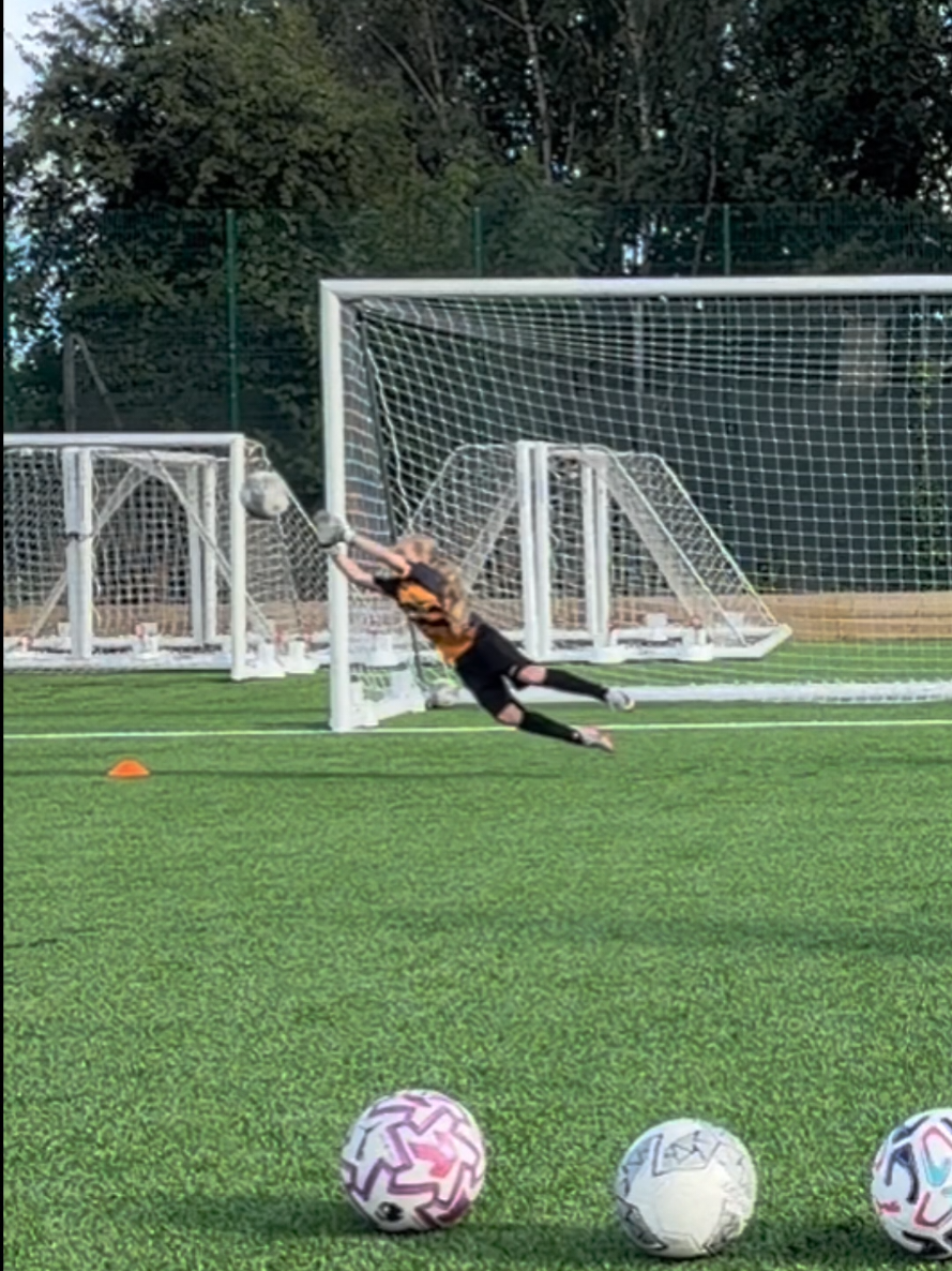 @hodge_gk