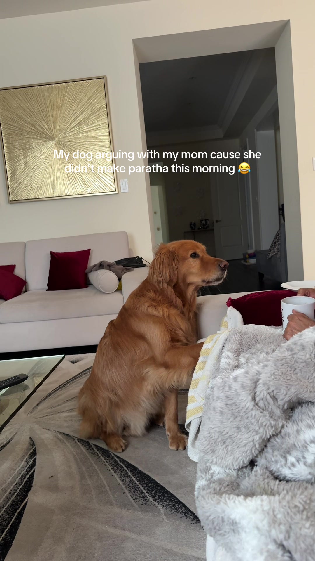 @Bentley the Spicy Golden🌶️