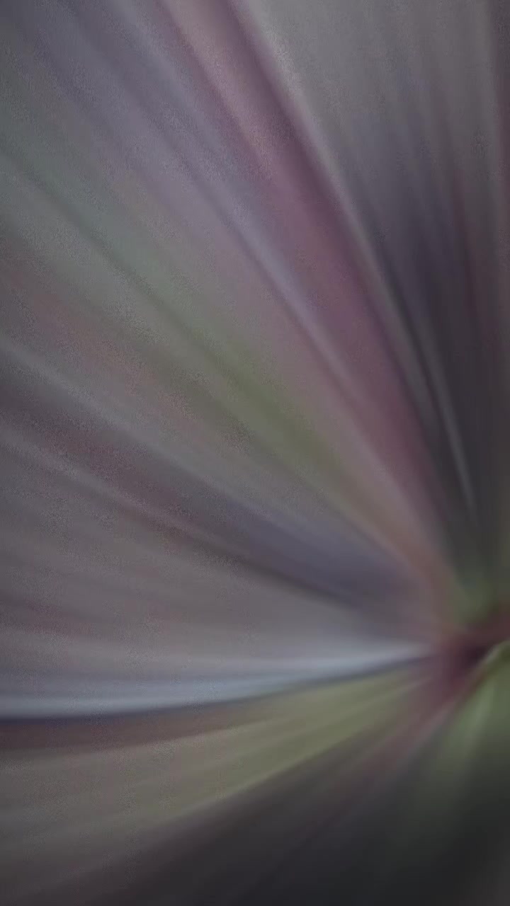 @dinhtrongglaw