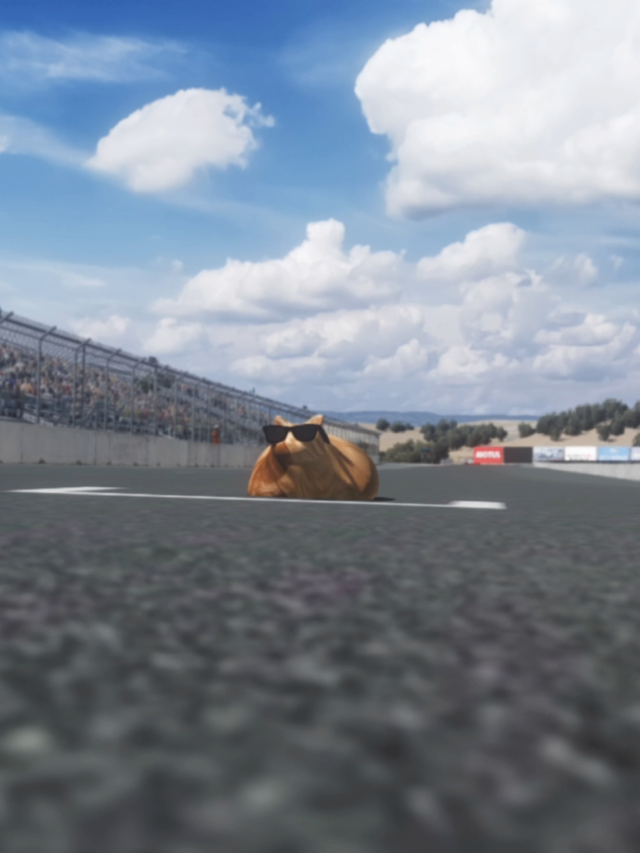 @Pablo the Race Cat