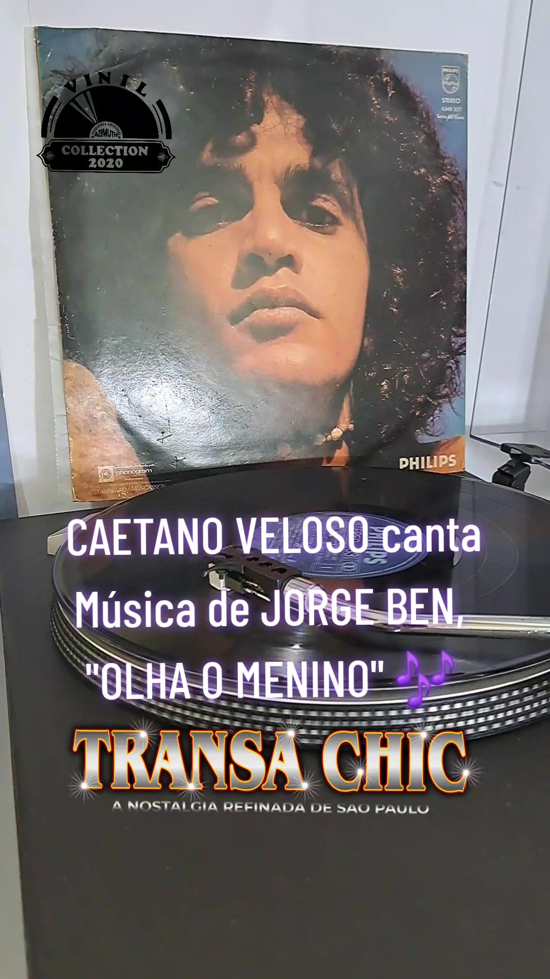 @TRANSACHIC NOSTALGIA BLACK