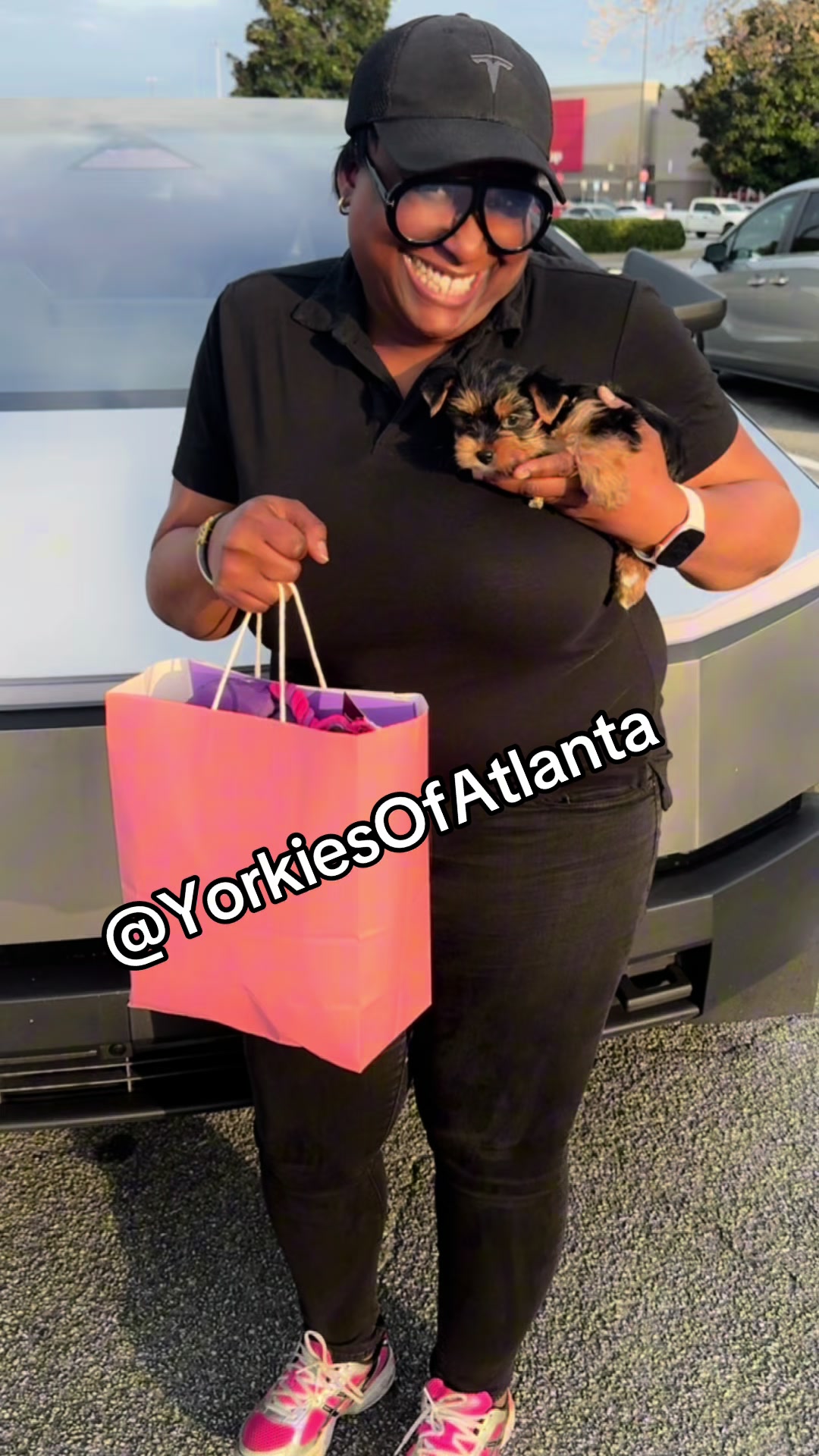 @Yorkies Of Atlanta