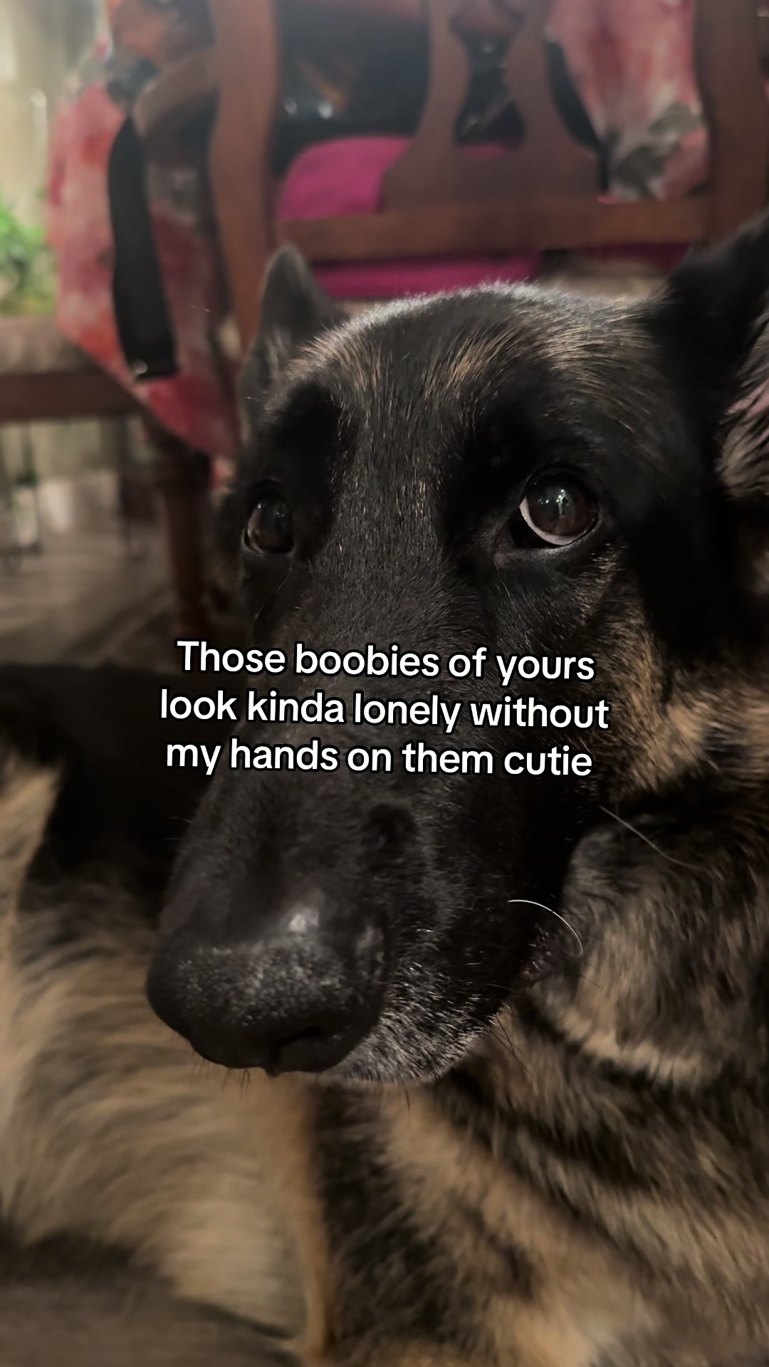 @Bhris