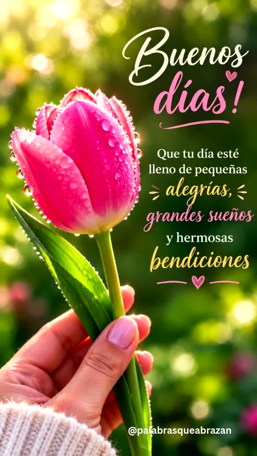 @Palabras Que Abrazan