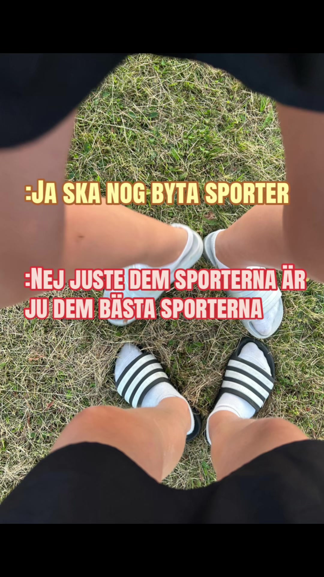 @novis💚📣