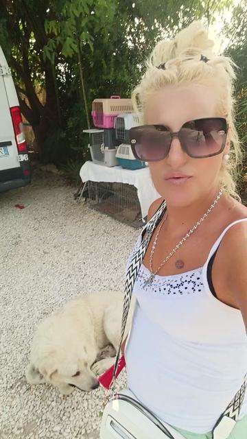 @la Barbie de mula 2