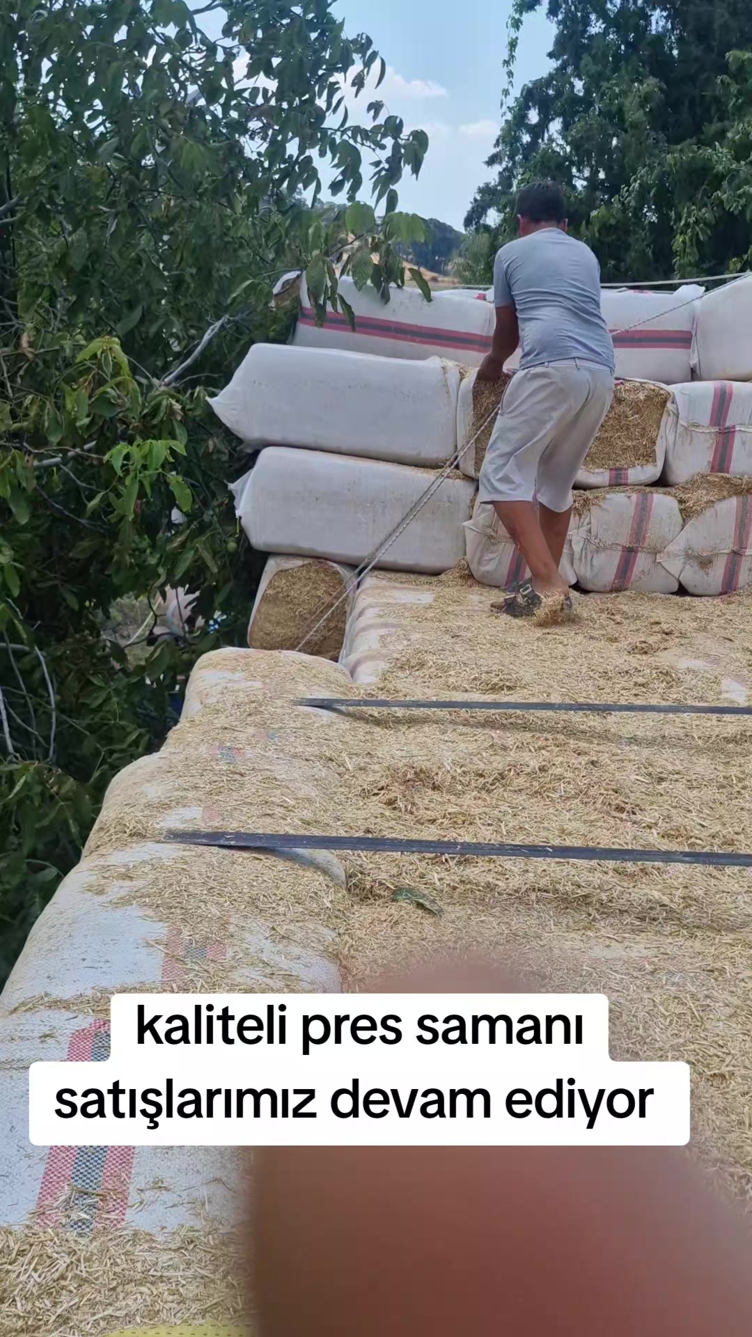 @Cavit G&uuml;reş&ccedil;i