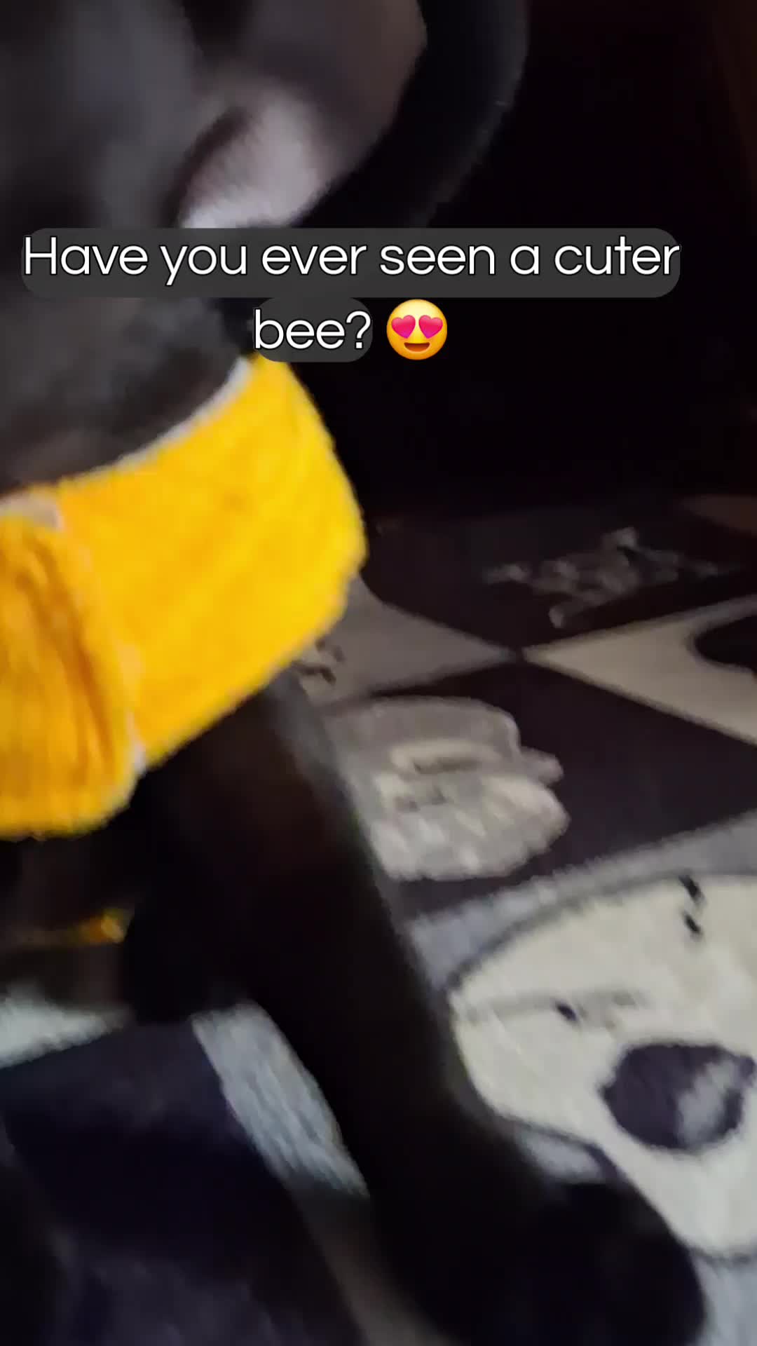 @Little Sparkly Panda