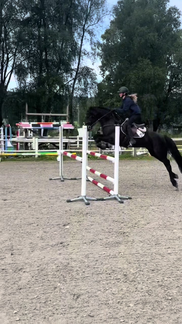 @Coreen Grønvold Belgen🇳🇴