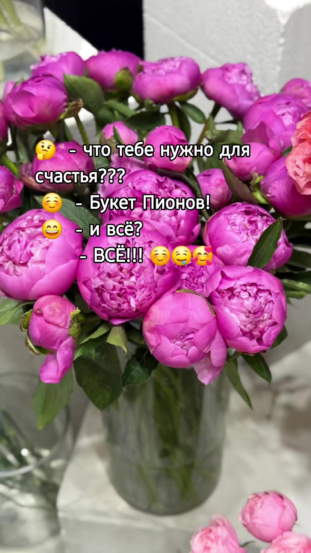@🇰🇿🌺🌸Нᴀᴛᴀᴧья🌸Kz.16_ukg👋🤝