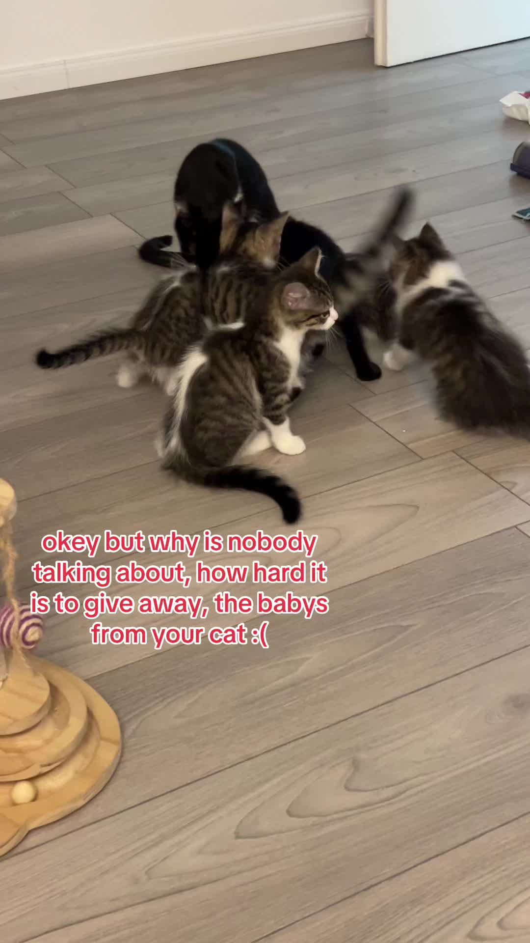 @nisa