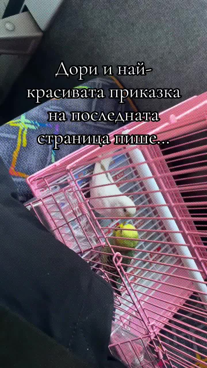 @dachko69