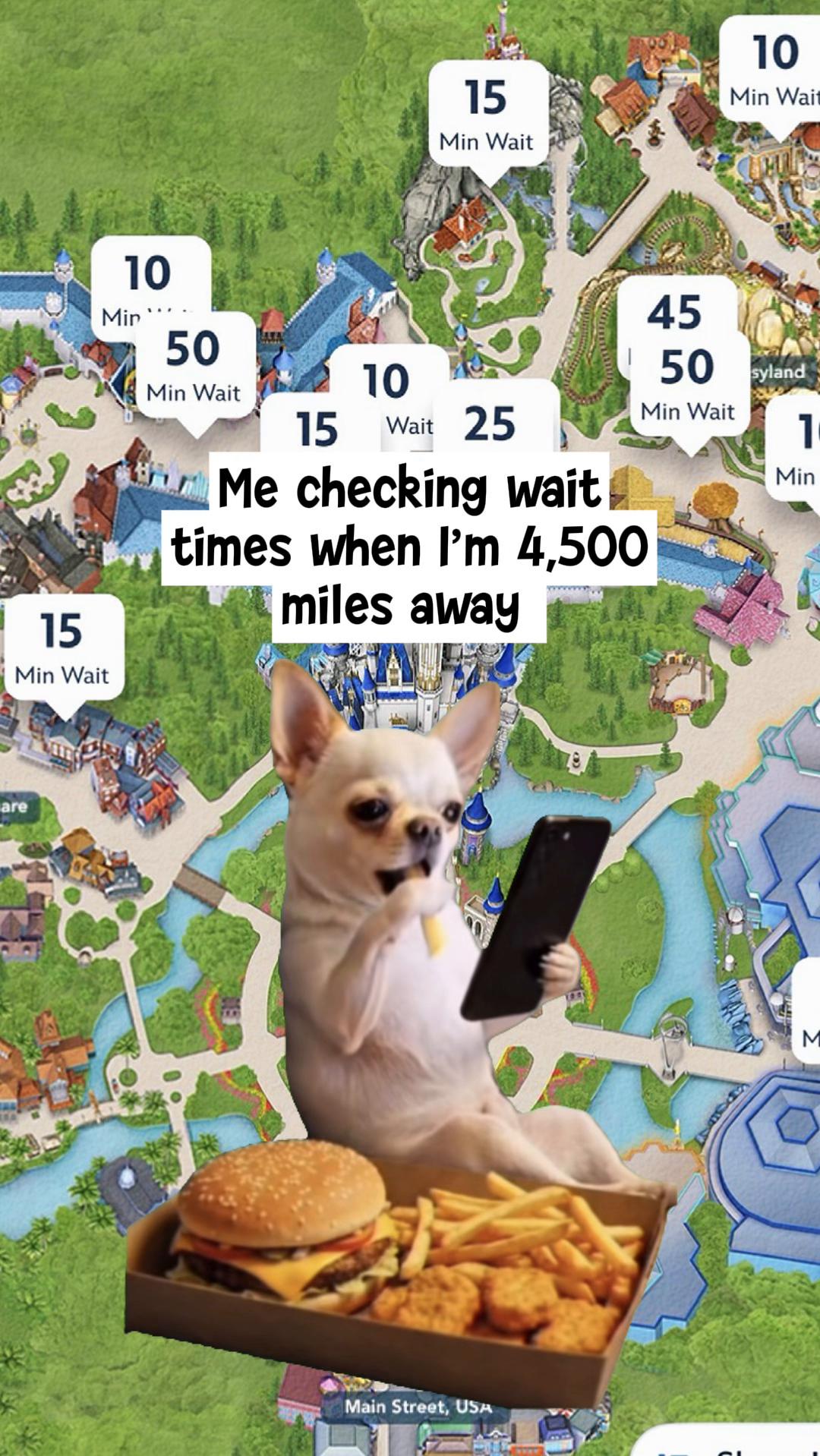 @Disney for Brits