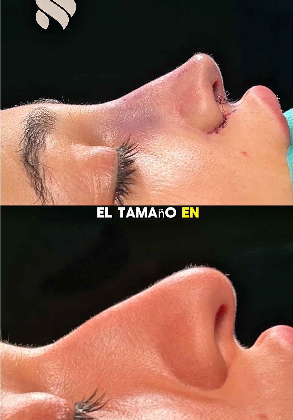 @Dr. Jordi Miquel