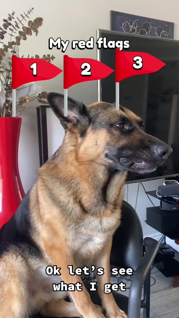 @Martygsd