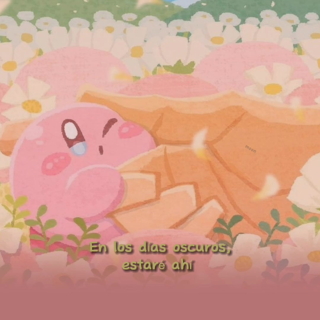 @Moon ₍˄..˄₎꠹