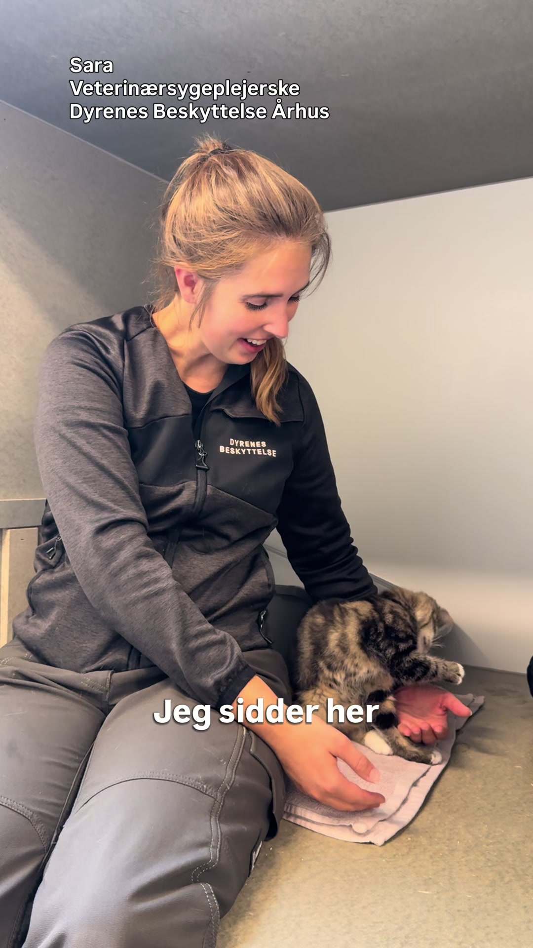 @Dyrenes Beskyttelse Århus