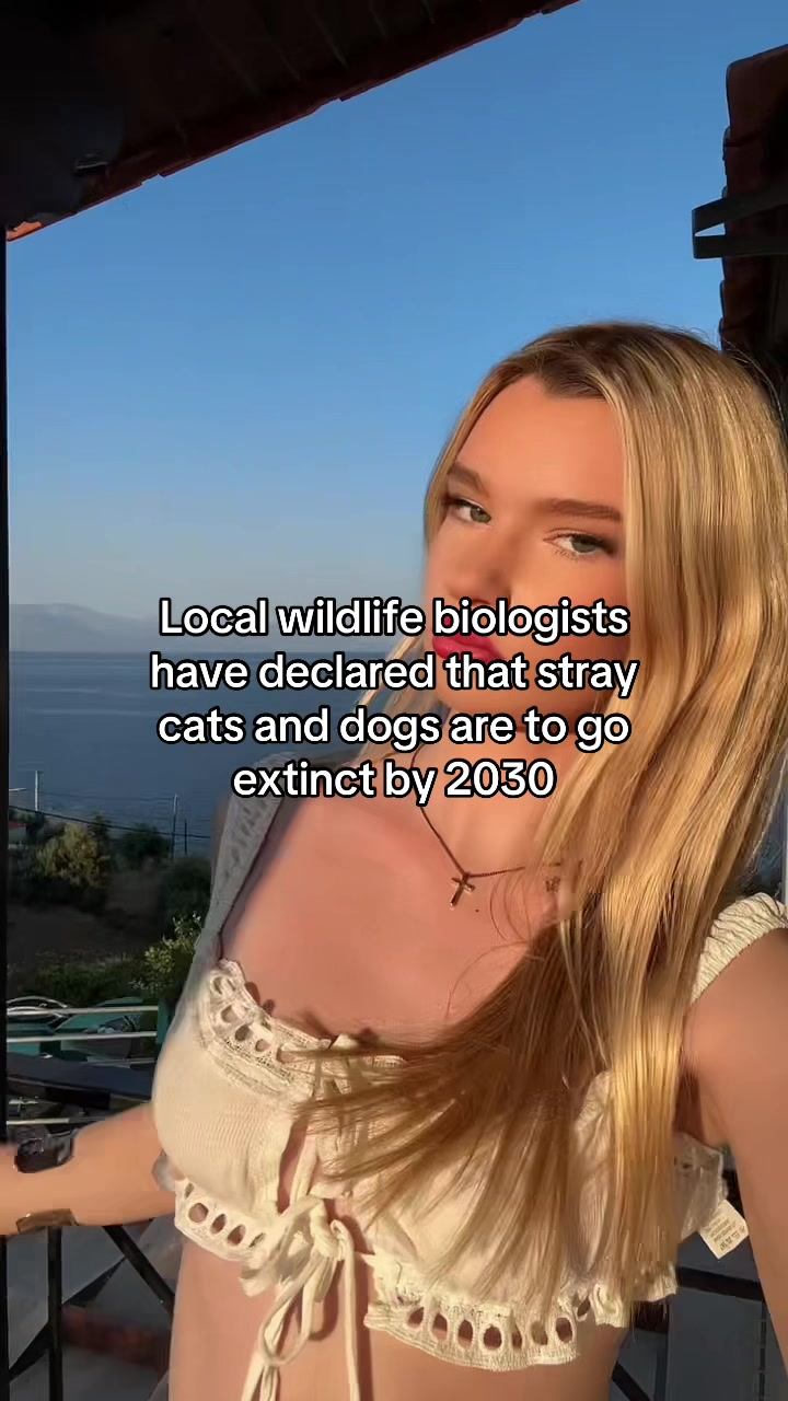 @Rebecca