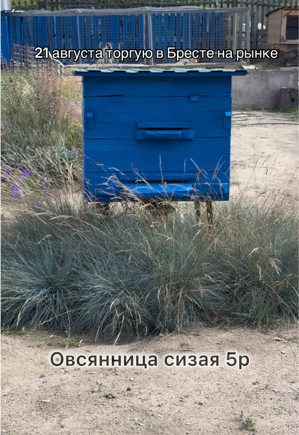 @Kirill Kvetka