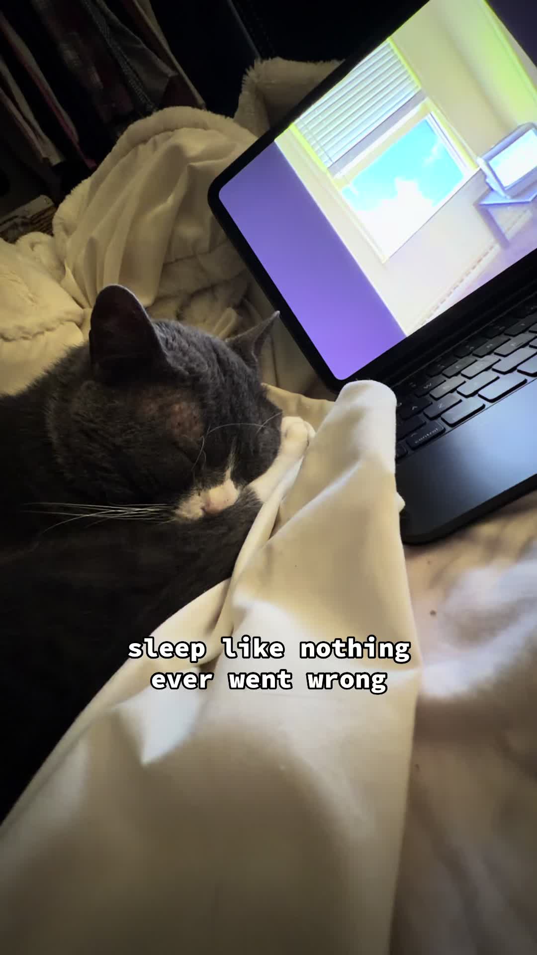 @stinkwalker