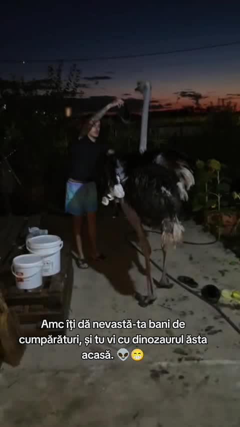 @Marius Niță