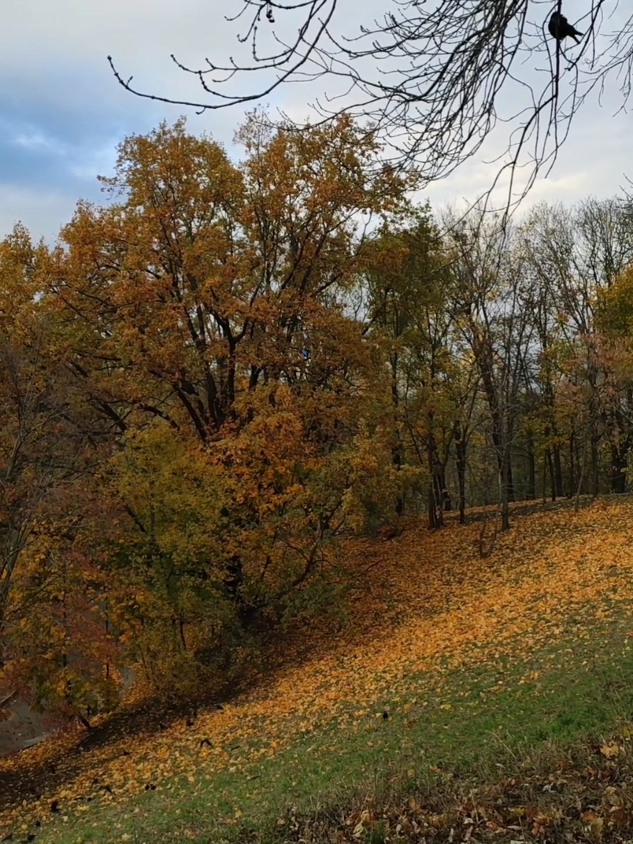 @Євгенія Грищенко 220